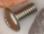 Cereal screw 1