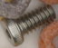 Cereal screw 3