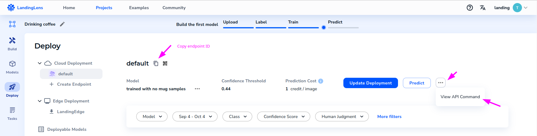 LandingLens deploy page